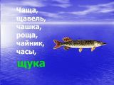 Сочетания ЧУ и ЩУ
